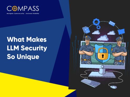 LLM Security