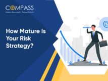 Risk Strategy