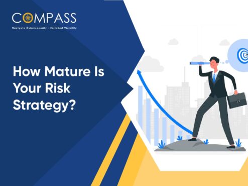 Risk Strategy